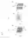 Fig. 08 - BRUSH FOR COSMETICS