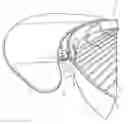 Fig. 01 - Accessory clamp for grill