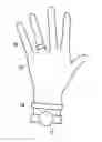 Fig. 01 - PHYSIOLOGICAL INFORMATION MEASURING METHOD AND WEARABLE DEVICE