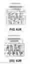 Fig. 48 - High performance sensors for electrical impedance myography