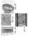 Fig. 13 - Detection Of Targeted Biological Substances Using Magnetic Relaxation Of Individual Nanoparticles