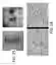 Fig. 16 - Detection Of Targeted Biological Substances Using Magnetic Relaxation Of Individual Nanoparticles