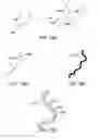 Fig. 20 - Creating a vascular tree model