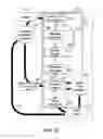 Fig. 24 - Creating a vascular tree model