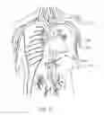 Fig. 04 - Implantable devices and related methods for heart failure monitoring