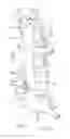 Fig. 18 - Implantable devices and related methods for heart failure monitoring