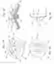 Fig. 04 - Suture fastener having spaced-apart layers