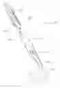 Fig. 07 - Devices and methods for reshaping blood vessels