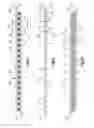 Fig. 08 - Bone plate fastening system