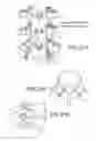 Fig. 15 - Implants for spinal fixation or fusion