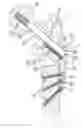 Fig. 01 - Device for fixation of bone fragments