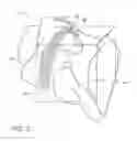 Fig. 03 - Interactive anatomical mapping and estimation of anatomical mapping quality
