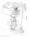 Fig. 44 - Multi-site surgical drape apparatus