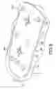 Fig. 09 - Stereotactic device for implantation of permanent implants into a rodent brain