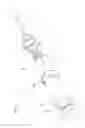 Fig. 03 - Container for storing and dispensing at least one component and method therefor