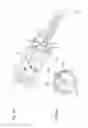 Fig. 07 - Container for storing and dispensing at least one component and method therefor
