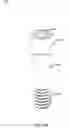 Fig. 20 - DENTAL IMPLANT SYSTEM