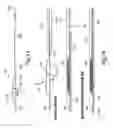 Fig. 12 - Intravascular devices and delivery systems and uses thereof