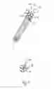Fig. 12 - Implantable device for improving or remedying valvular incompetence