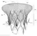 Fig. 01 - Prosthetic mitral valve