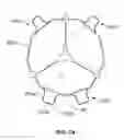 Fig. 22 - Prosthetic mitral valve