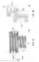 Fig. 05 - Osteo-implant