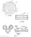 Fig. 09 - 3D printed trans-modular scaffolds for grafting applications in segmental bone defects