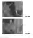 Fig. 24 - 3D printed trans-modular scaffolds for grafting applications in segmental bone defects