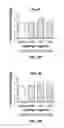 Fig. 29 - 3D printed trans-modular scaffolds for grafting applications in segmental bone defects