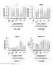 Fig. 32 - 3D printed trans-modular scaffolds for grafting applications in segmental bone defects