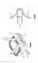 Fig. 07 - Arcuate fixation member