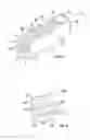 Fig. 06 - Expandable fusion device and method of installation thereof
