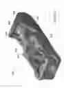 Fig. 49 - Expandable fusion device and method of installation thereof