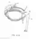 Fig. 06 - Ocular insert apparatus and methods