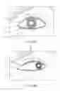 Fig. 63 - Ocular insert apparatus and methods