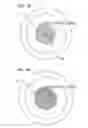 Fig. 06 - APPARATUS FOR PHOTOTHERAPY OF THE EYE