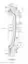 Fig. 09 - SOUND MUFFLING HEADWEAR