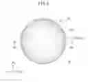 Fig. 07 - NONWOVEN FABRIC AND ABSORBENT ARTICLE USING SAME