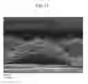Fig. 12 - NONWOVEN FABRIC AND ABSORBENT ARTICLE USING SAME