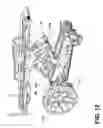Fig. 13 - Transport apparatus