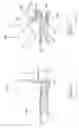 Fig. 46 - Transport apparatus