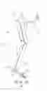 Fig. 01 - Motion assistance apparatus