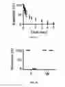 Fig. 04 - Topical formulation of hyperbranched polyglycerol-coated particles thereof