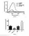 Fig. 06 - Topical formulation of hyperbranched polyglycerol-coated particles thereof