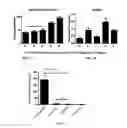 Fig. 07 - Topical formulation of hyperbranched polyglycerol-coated particles thereof