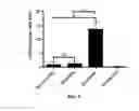 Fig. 08 - Topical formulation of hyperbranched polyglycerol-coated particles thereof