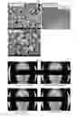 Fig. 02 - Cosmetic composition