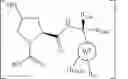 Fig. 656 - Compounds and methods for the targeted degradation of enhancer of zeste homolog 2 polypeptide