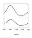 Fig. 02 - Valproic acid for the treatment or prevention of pathological conditions associated with excess fibrin deposition and/or thrombus formation