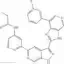 Fig. 08 - 3-(3H-imidazo[4,5-C]pyridin-2-yl)-1H-pyrazolo[3,4-C]pyridine and therapeutic uses thereof